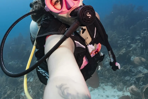 buceo bushnell