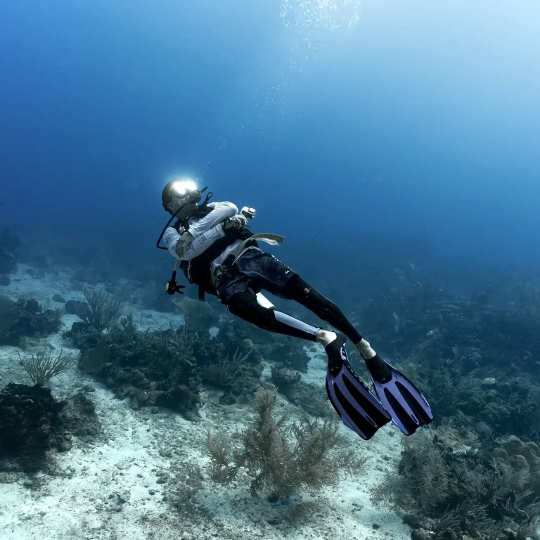 buceo avanzado, 2 inmersiones
