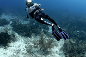 buceo avanzado, 2 inmersiones